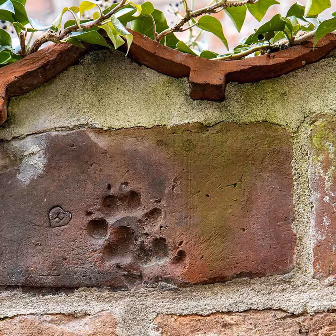 Alte Backsteinmauer mit eingedrücktem Pfotenabdruck und kleinem Herz – ein verborgenes Detail in Lübeck.