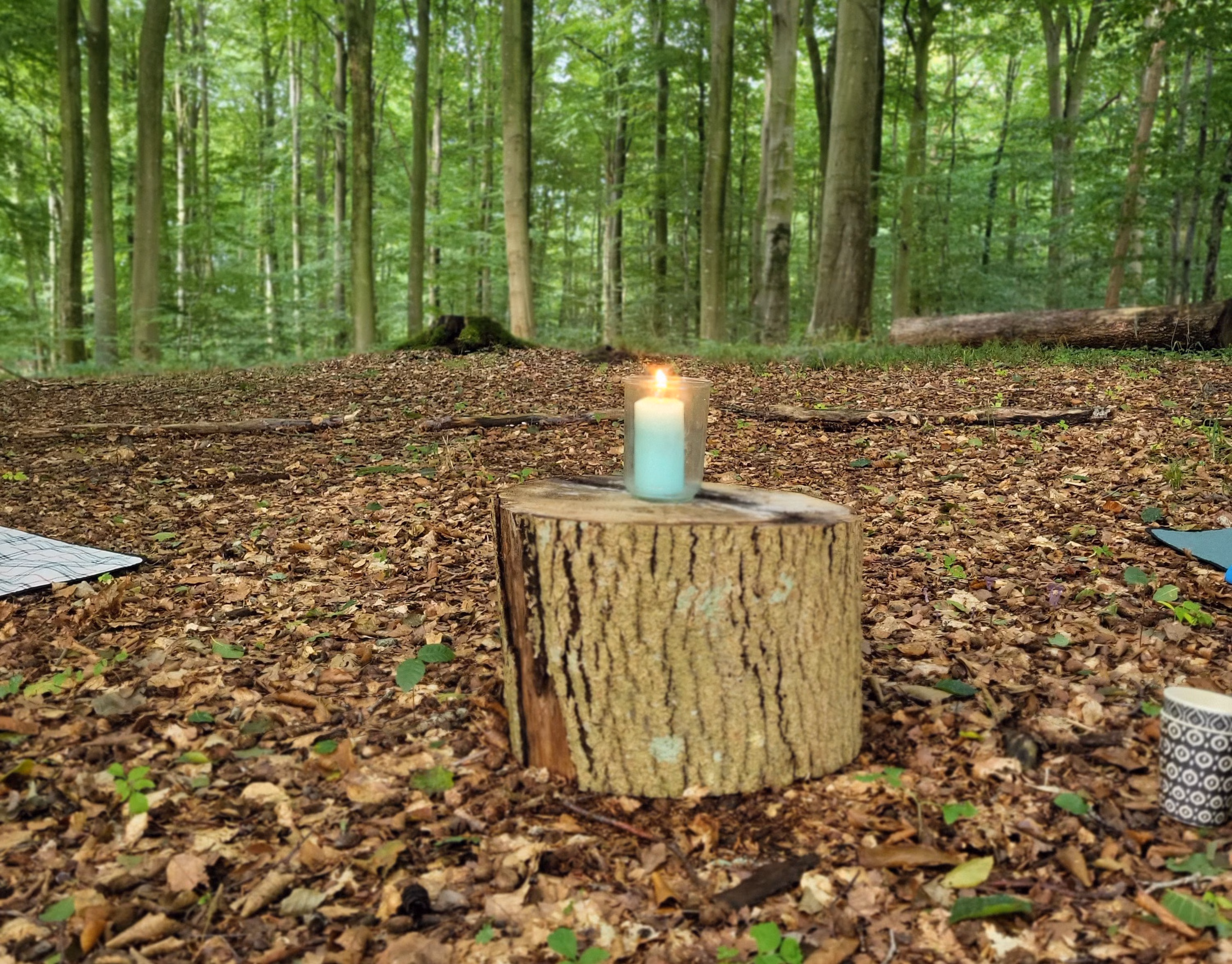 Wald-Yoga