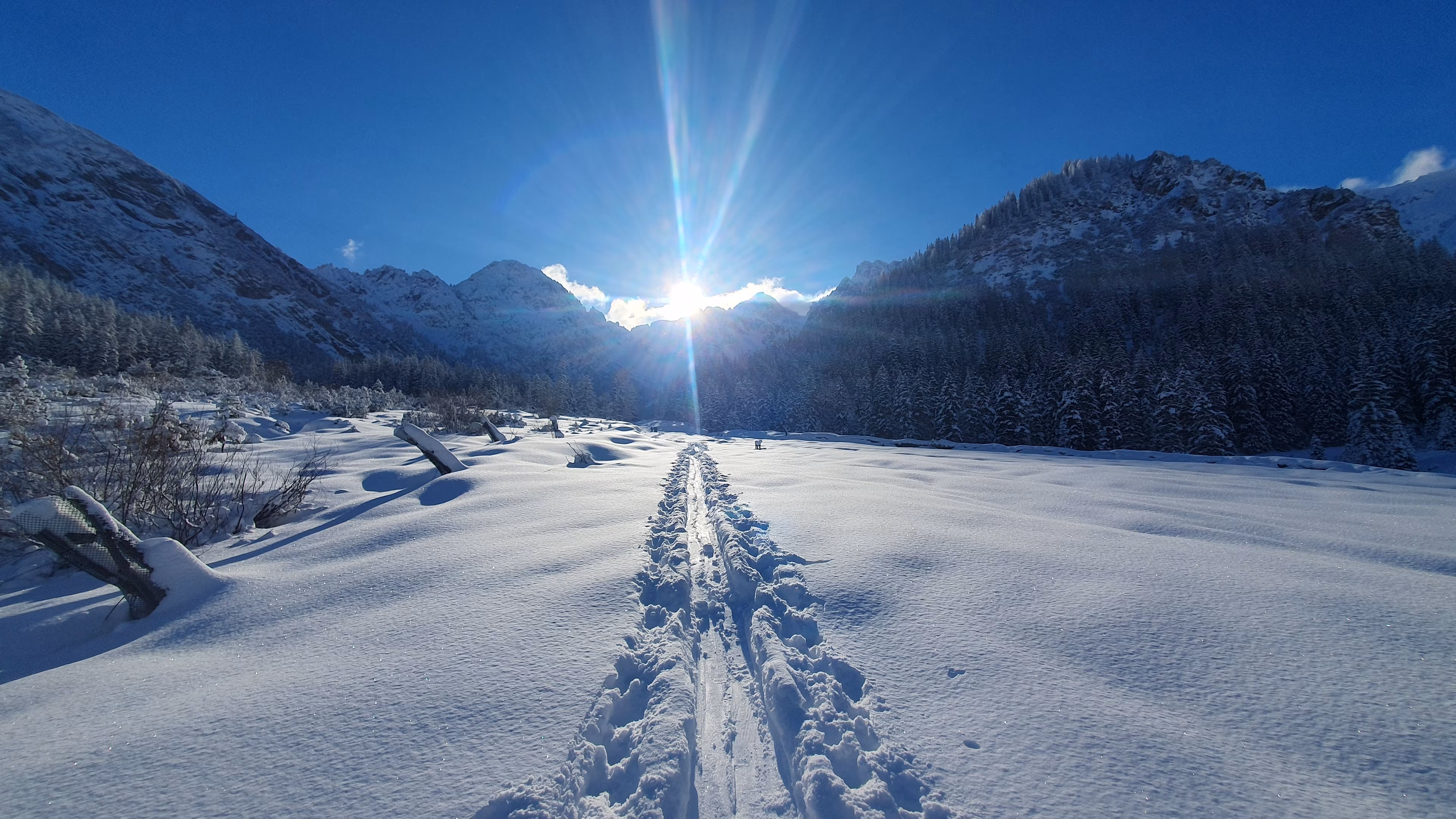 Eine verschneite Landschaft in den Alpen