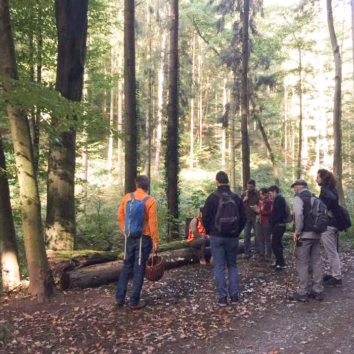 Eine Gruppe Menschen bei einer Pilzwanderung
