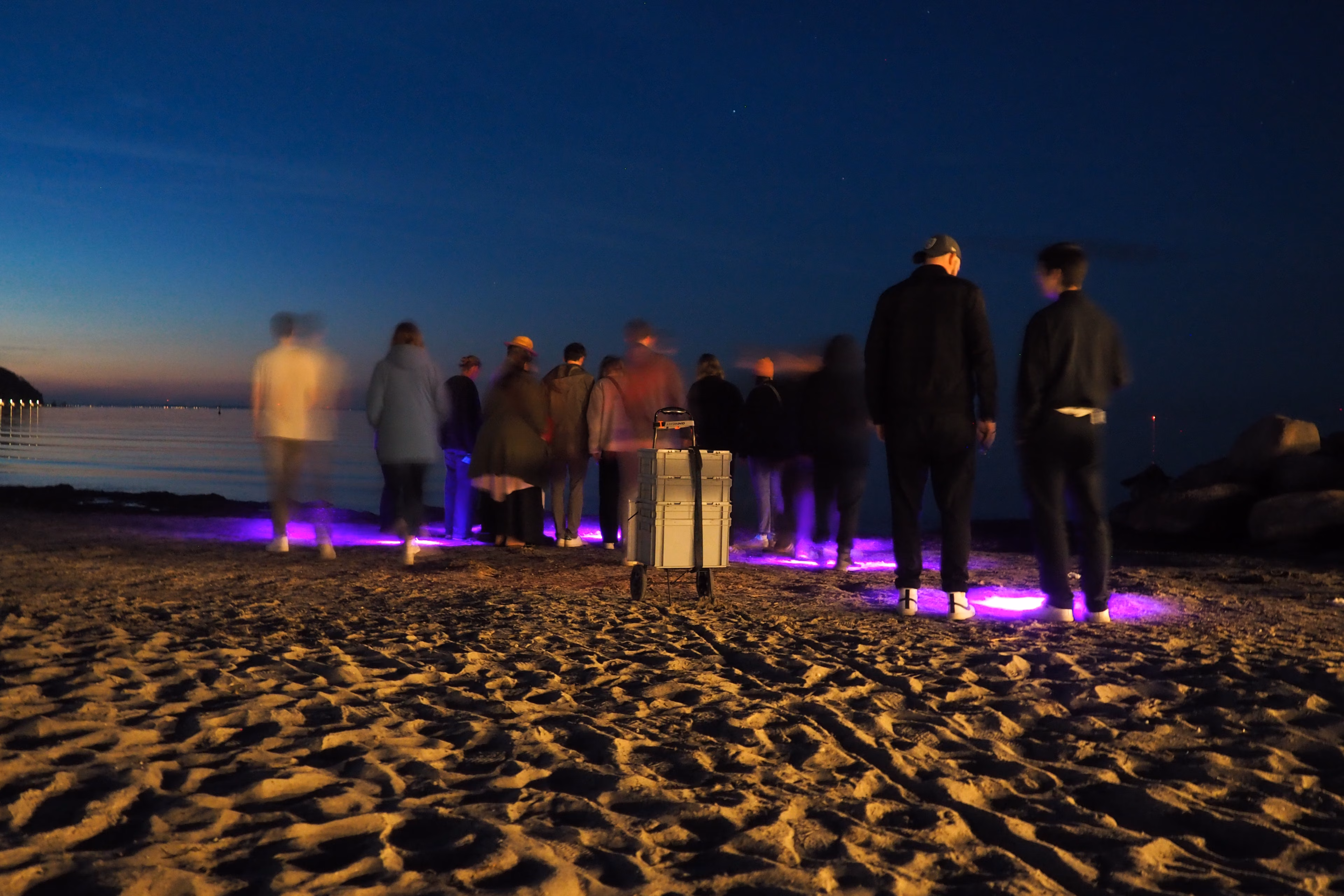 Bernsteine finden: Geführte Tour mit Schwarzlicht (Insel Poel)