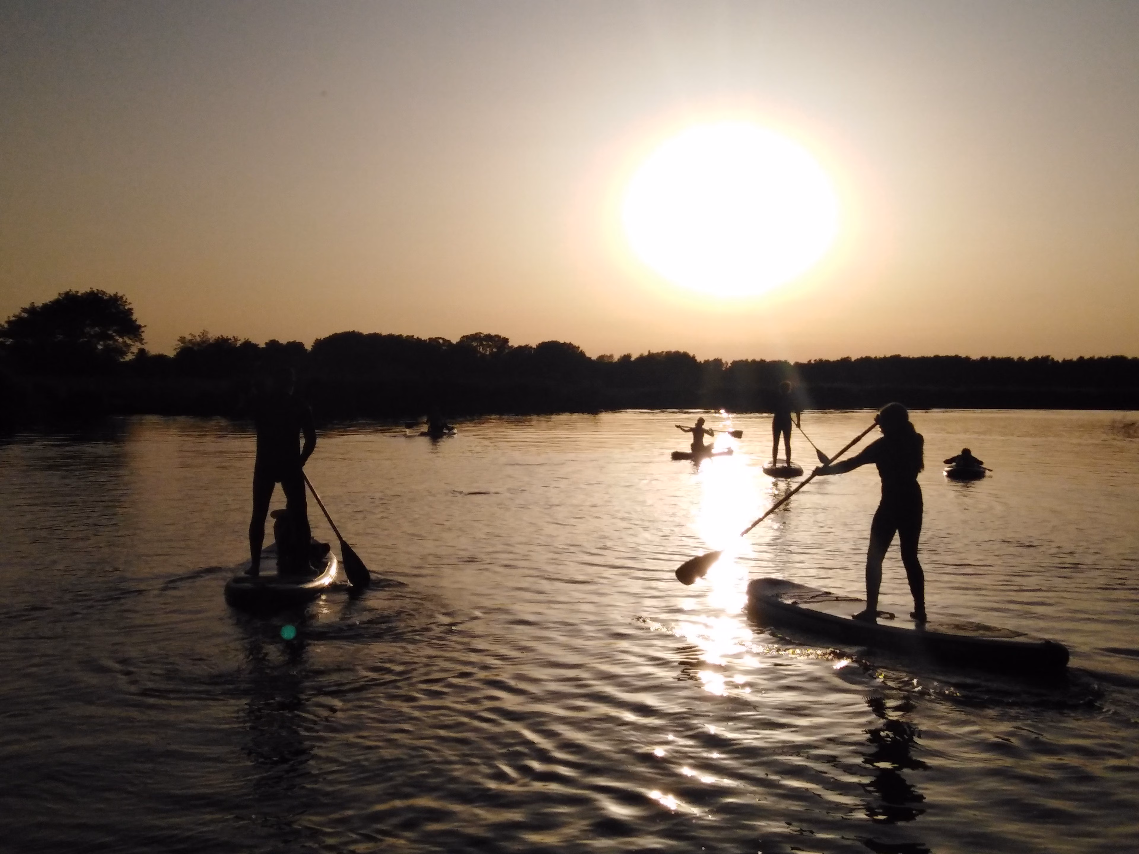 Sonnenuntergangstour Standup Paddle auf dem Prerowstrom
