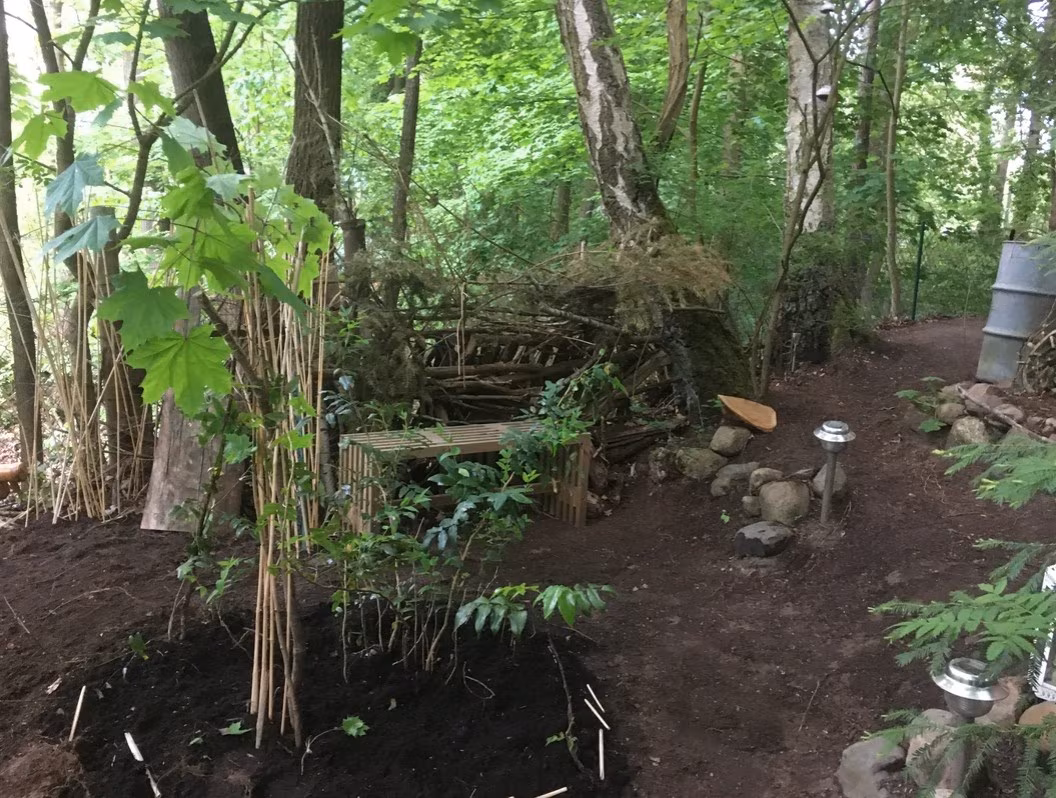 Wald und eine Bank vor dem Bungalow