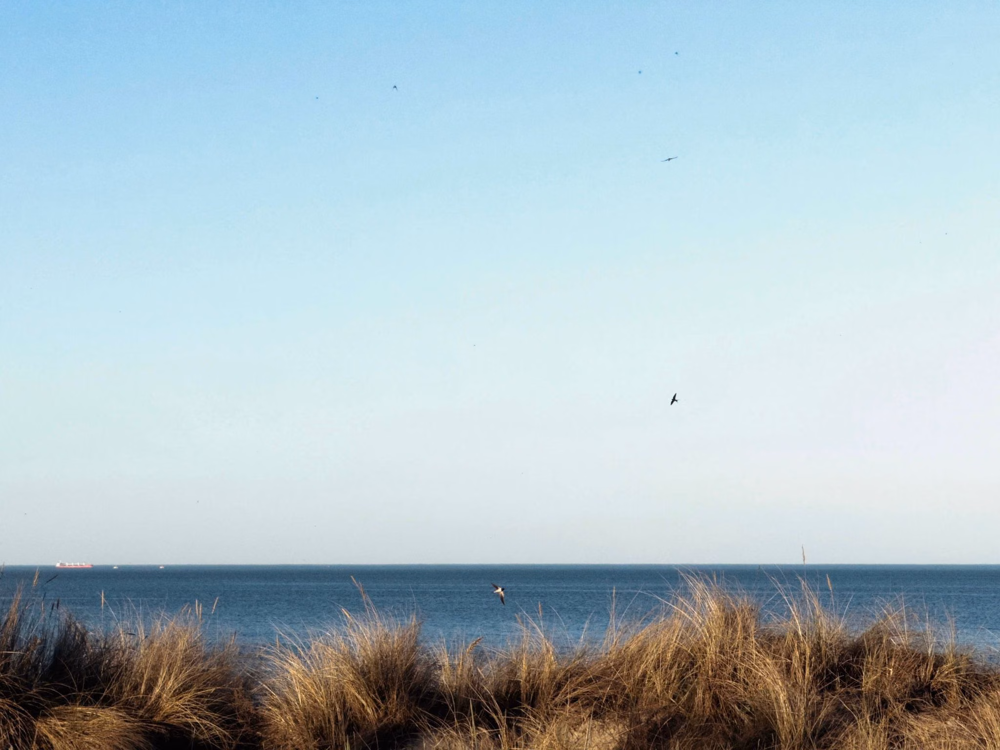 Usedom Steilküsten-Sunrise-Run mit Strandfrühstück