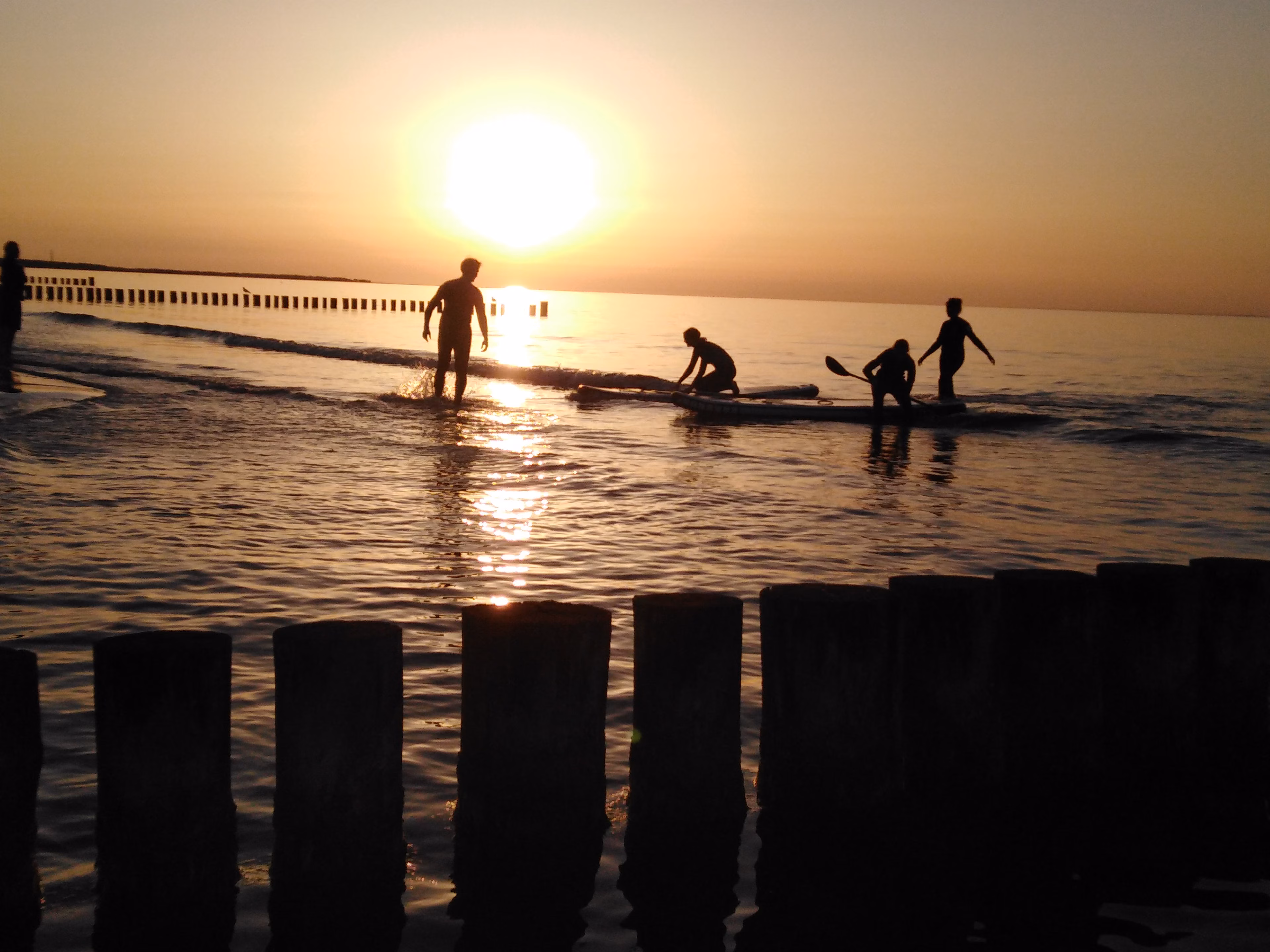 Sonnenuntergangstour Standup Paddle auf dem Prerowstrom