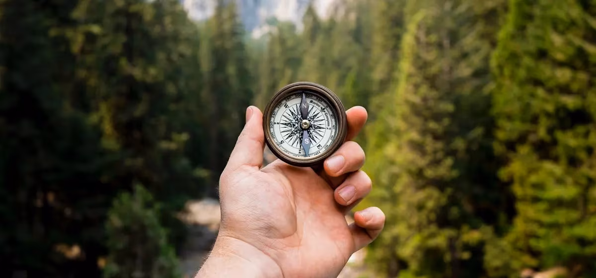 Eine Hand hält einen Kompass mit Wald im Hintergrund