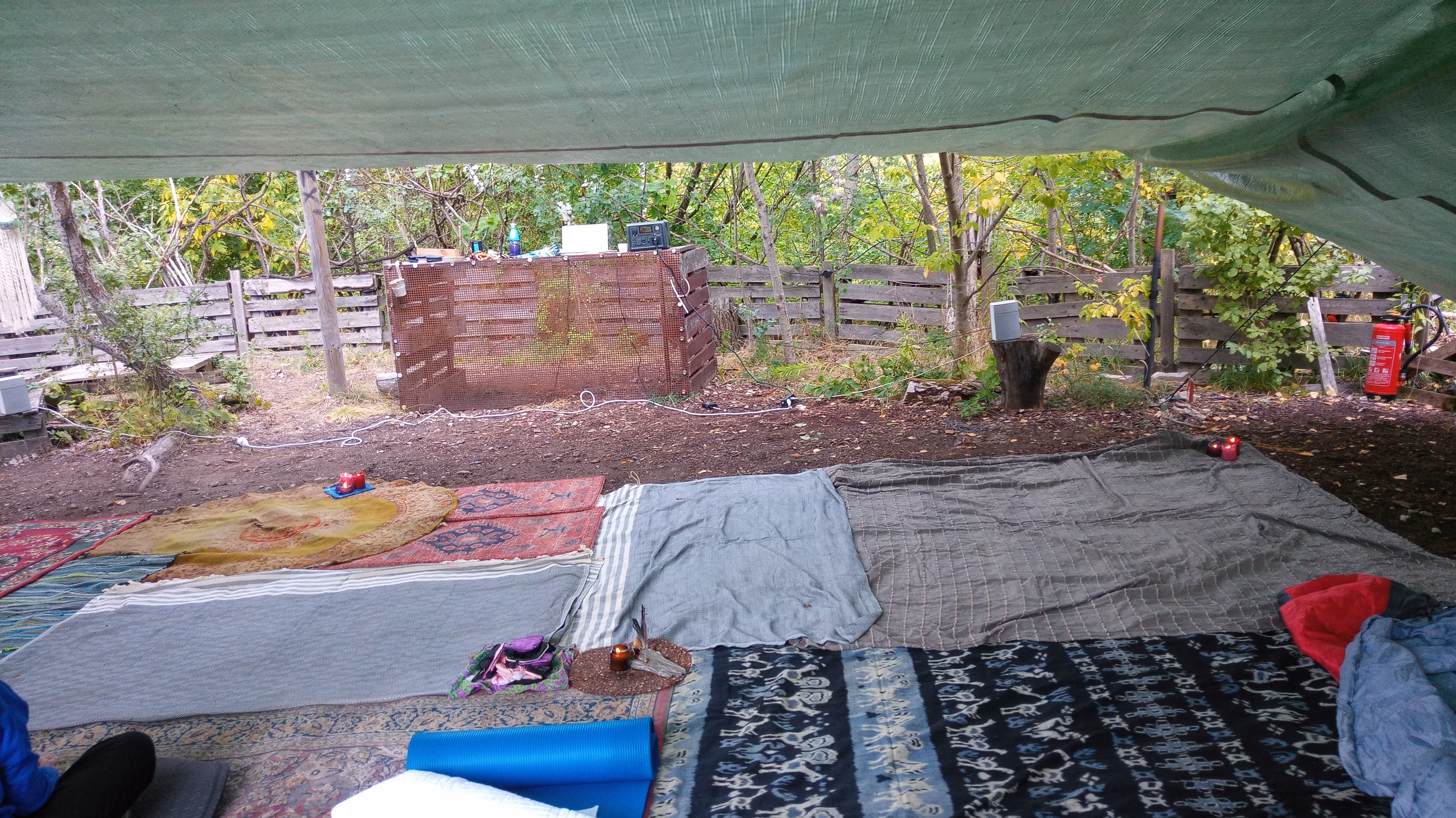 Wild Breathwork