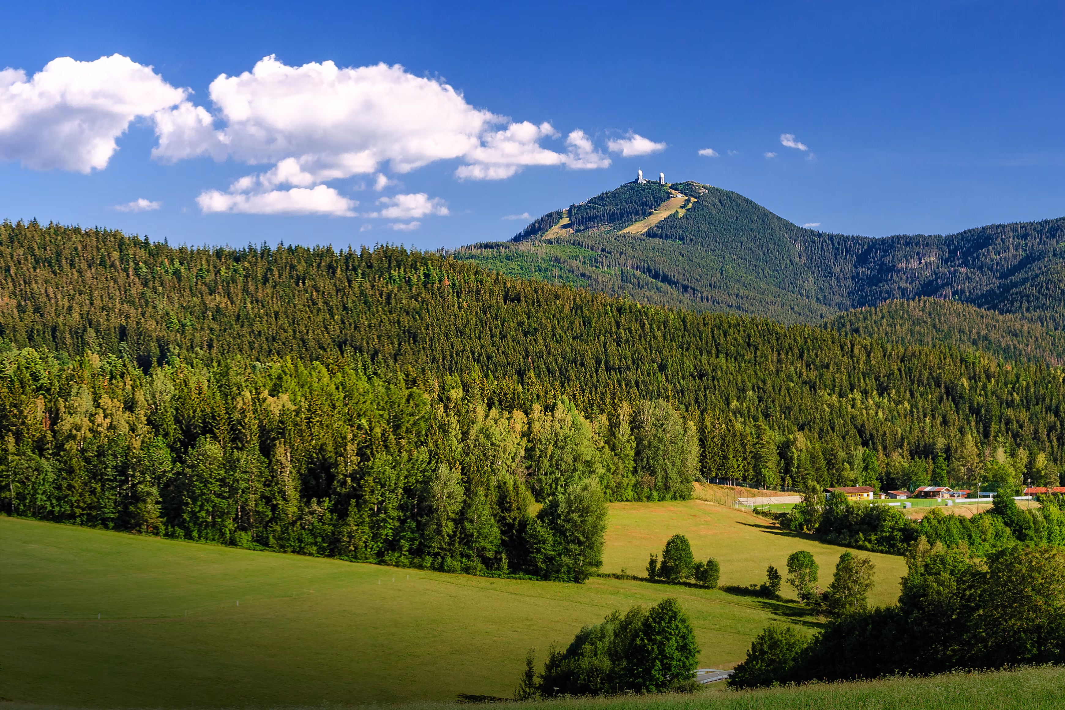 Bayerischer Wald