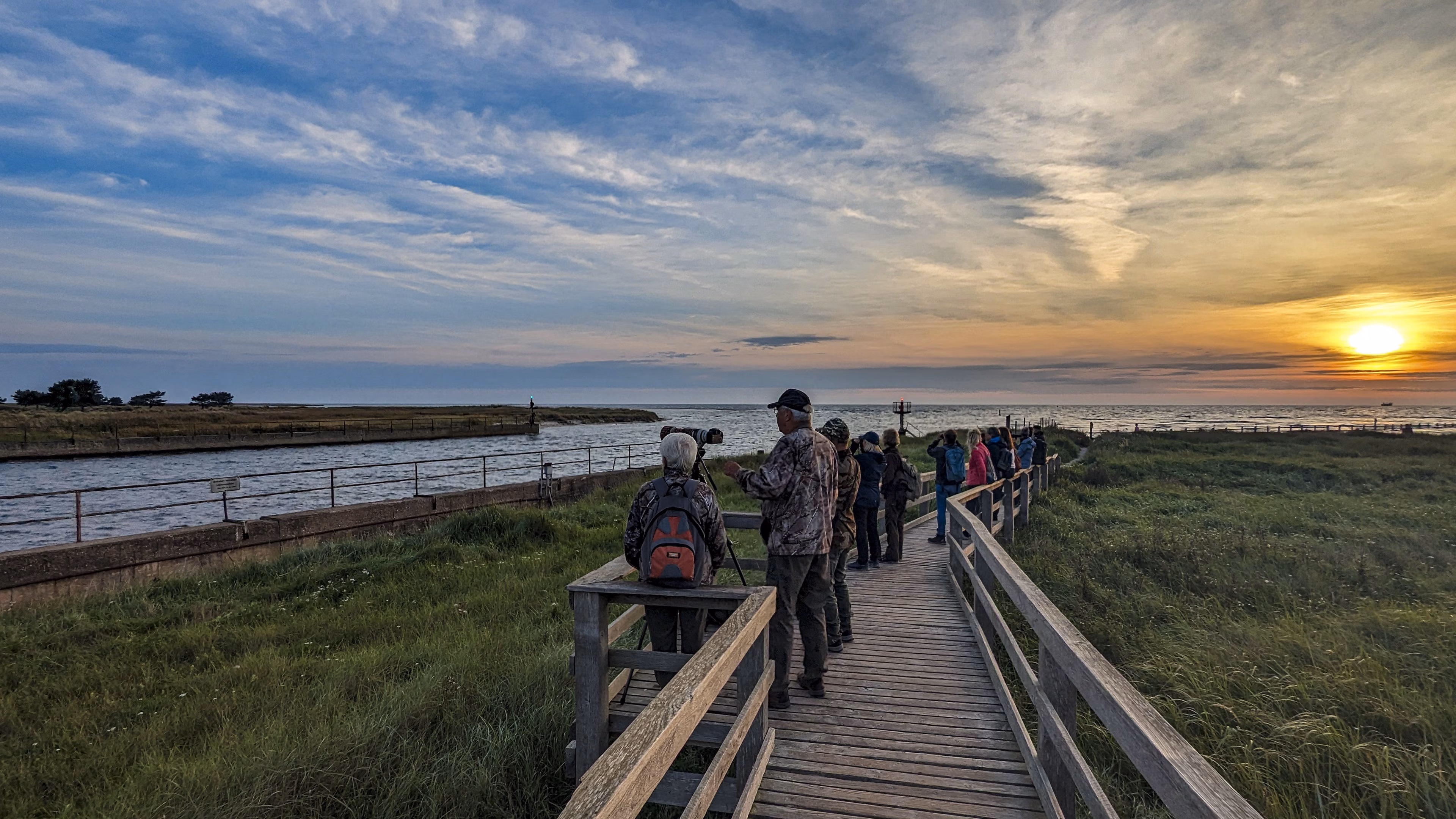 Malreise zu den Kranichen und den Hirschen an der Ostsee