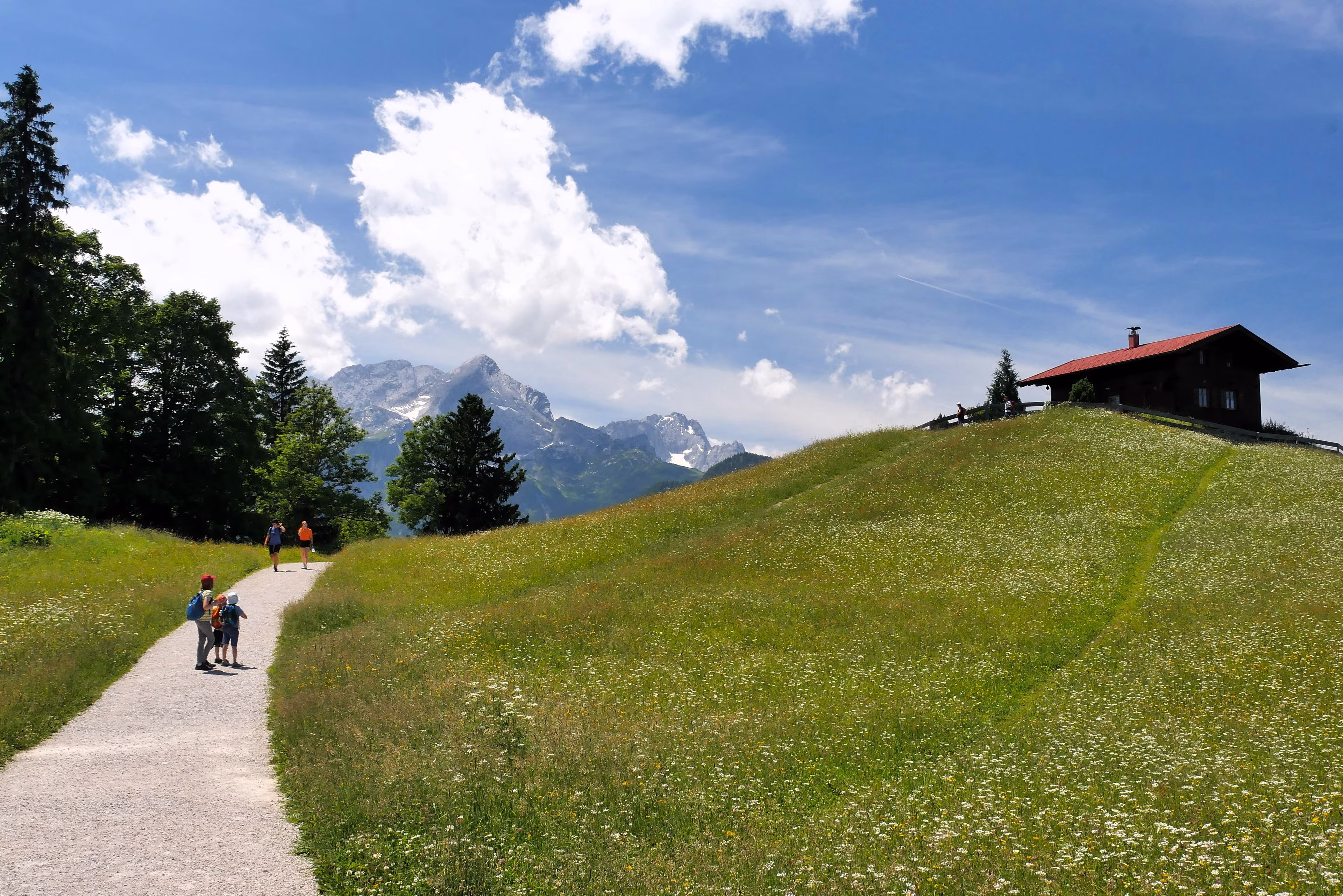 Landschaft am Wank