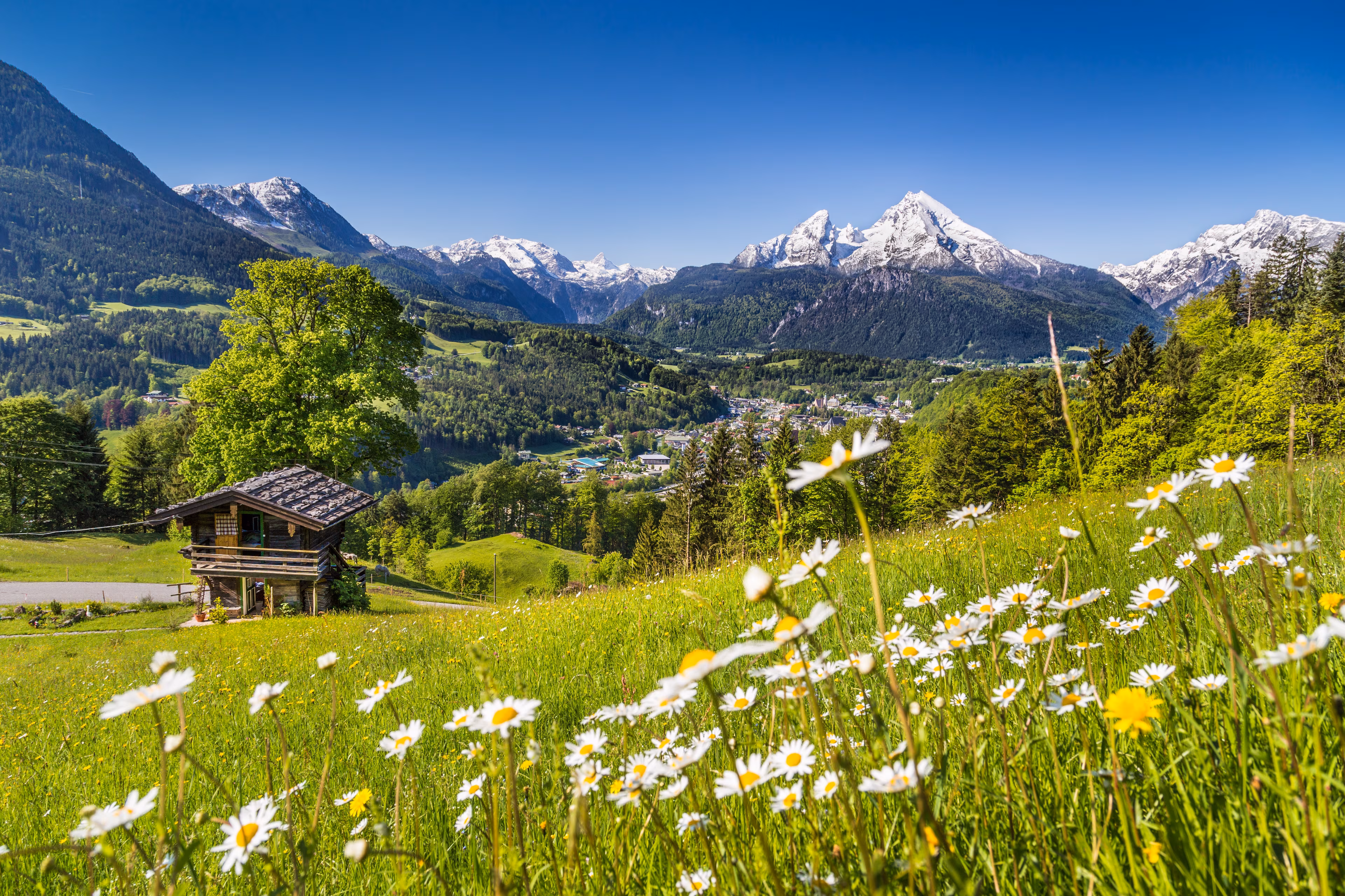 Allgäu