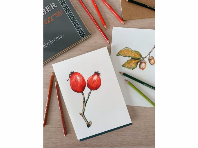 Herbstmotive zeichnen mit Polychromos: Workshop für Erwachsene
