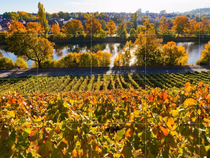 Weinsafari für Gruppen 