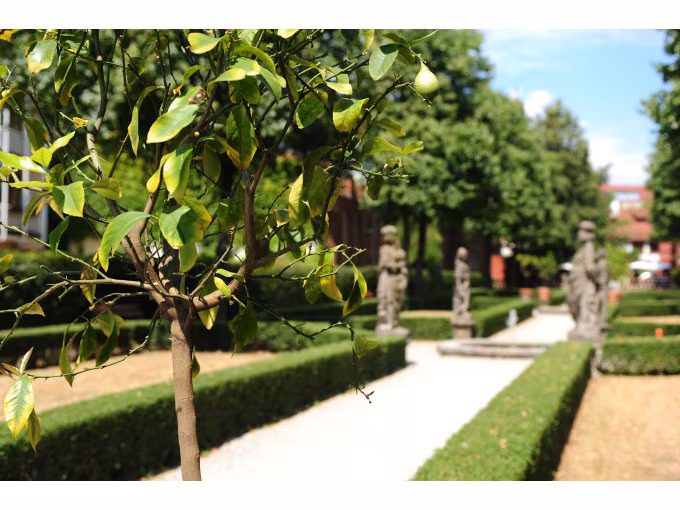 Der St. Johannisfriedhof und die Hesperidengärten