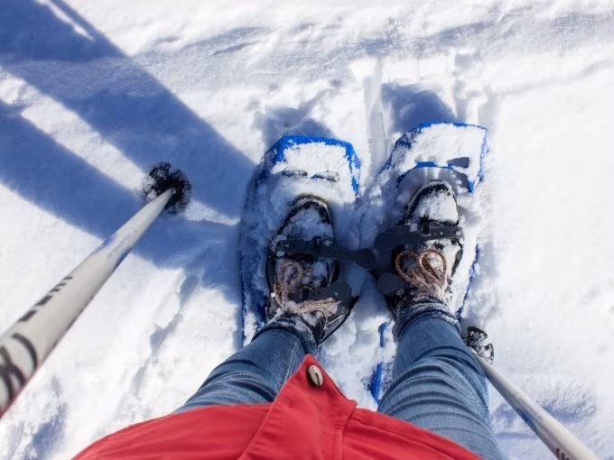 geführte Schneeschuhwanderung am Feldberg