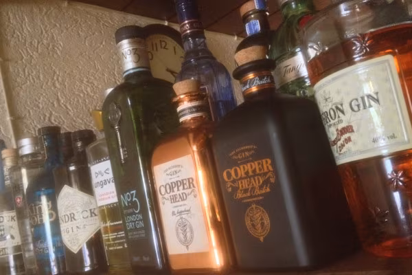 Gin-Tasting in Idstein