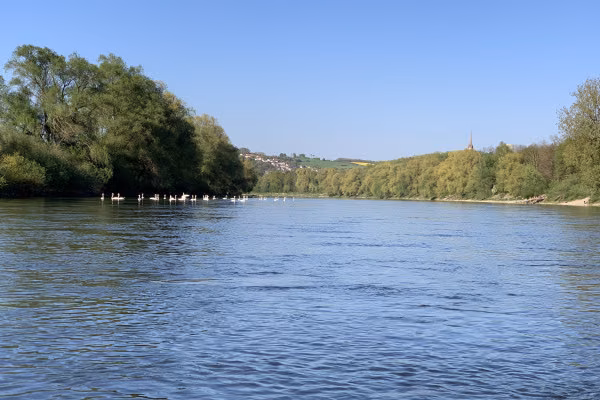 Stand-up-Paddling: SUP-Board inkl. Ausrüstung mieten