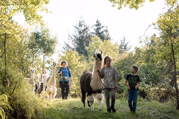 Familienwanderung (Gruppentour)