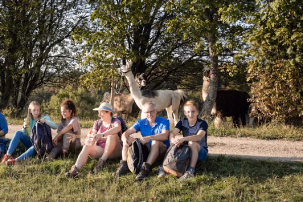 Lama- und Alpaka-Abenteuer für Familien (individuell)