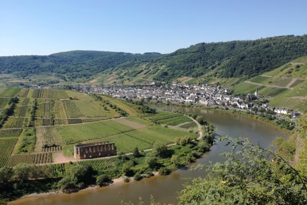 Weinberg Klettersteig an der Mosel