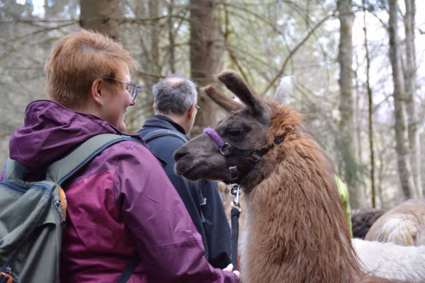 Bei so einer Lama-Wanderung entstehen Freundschaften zwischen Mensch und Lama ;-)