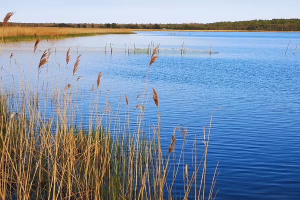 Krumminer Wiek