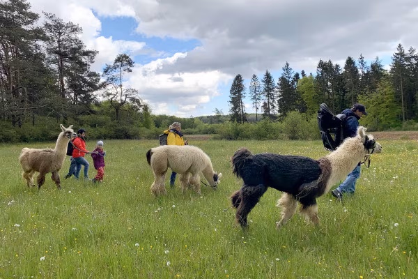 Familienwanderung (Gruppentour)