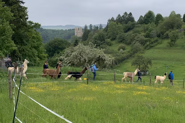 Familienwanderung (Gruppentour)