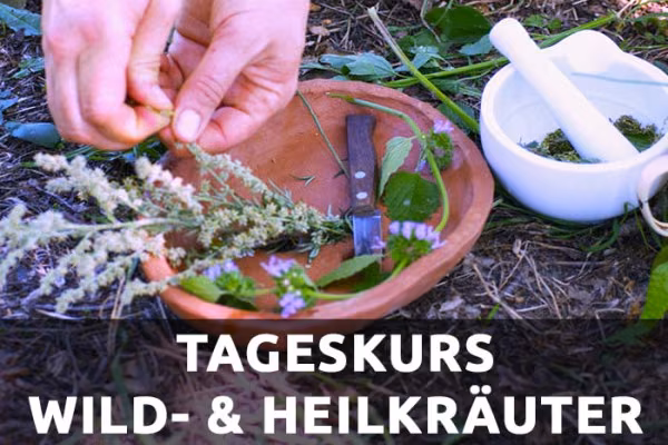 Wildkräuter- und Heilpflanzen-Tag (Brandenburg)