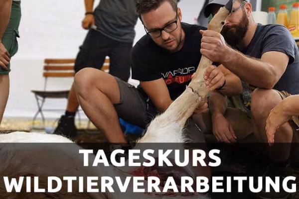 Wildtierverarbeitung Kompakt (Brandenburg)