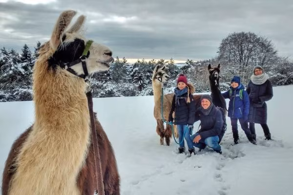 Lamawanderung mit Familie im Schnee