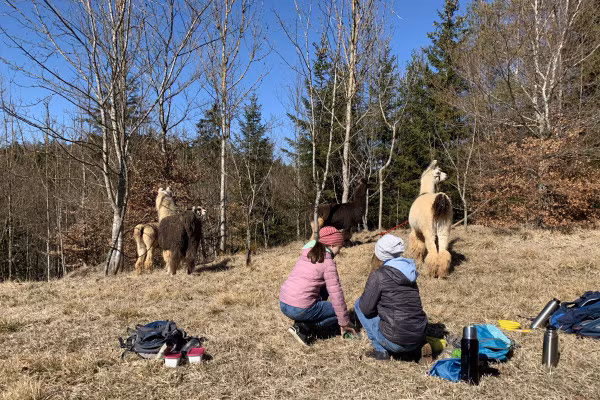 Familienwanderung (Gruppentour)