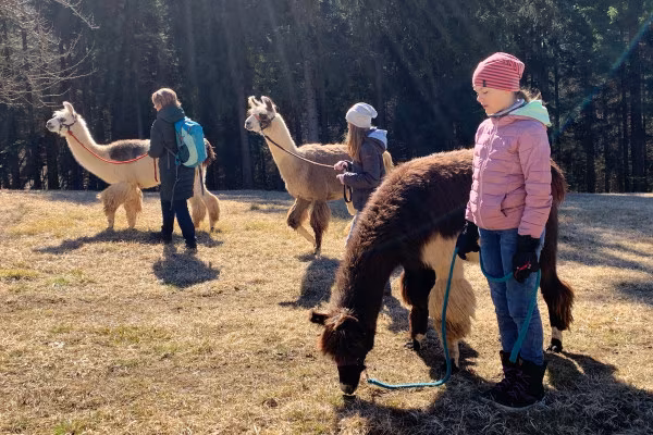 Familienwanderung (Gruppentour)