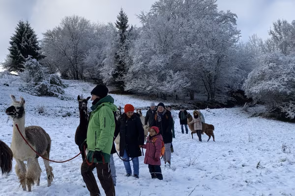 Familienwanderung (Gruppentour)