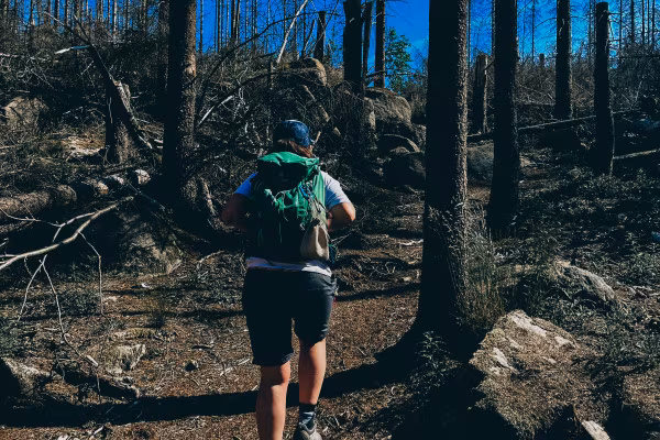 Wanderung: Auf felsigen Wegen - Schierke
