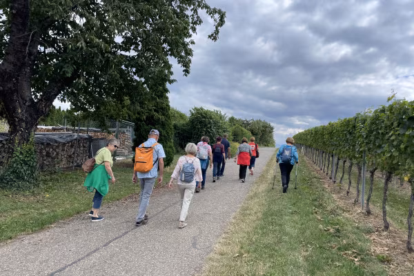 Lachwanderung: Lachen in den Weinbergen
