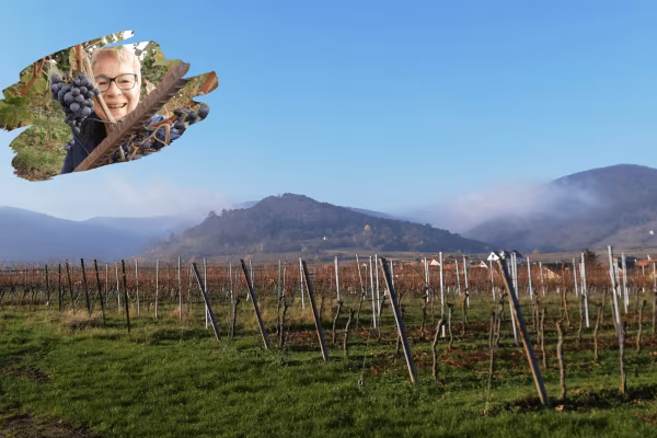 Lachwanderung: Lachen in den Weinbergen