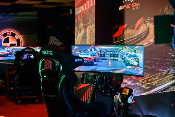 Sim-Racing Simulator