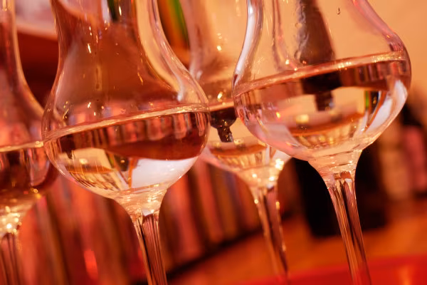 Gourmet-Tasting "Welt des Gin" - Gin-Tasting