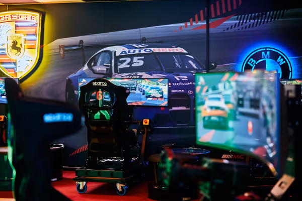 Sim-Racing Simulator
