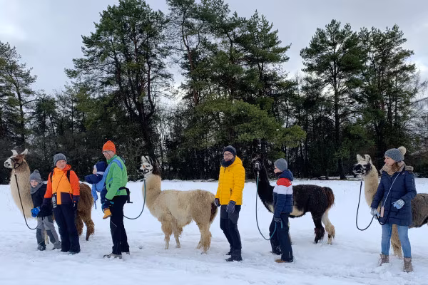 Lamawanderung im Schnee mit der ganzen Familie