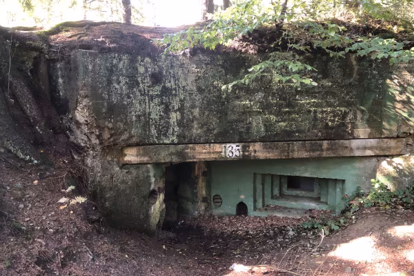 Bunker im Wald