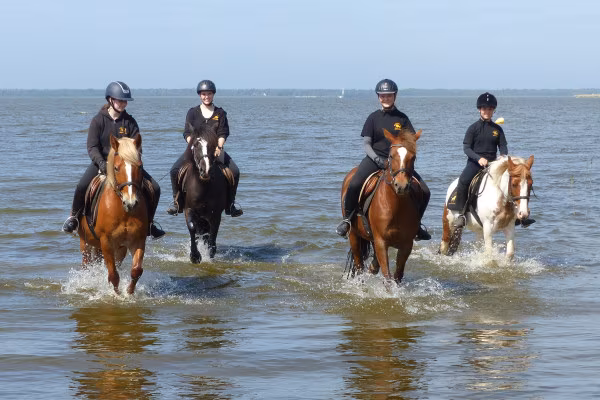 Ausritte für Einsteiger durch die Ostseelagunen