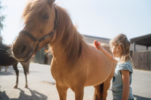 Tag im Pferdestall: Kindertagesbetreuung in Hirschburg