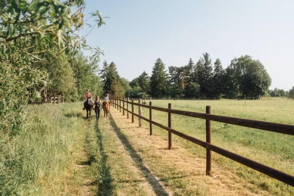 Tag im Pferdestall: Kindertagesbetreuung in Hirschburg
