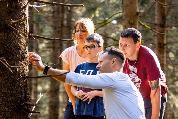 Familien-Waldzeit: Auftanken für alle (Oberhof)