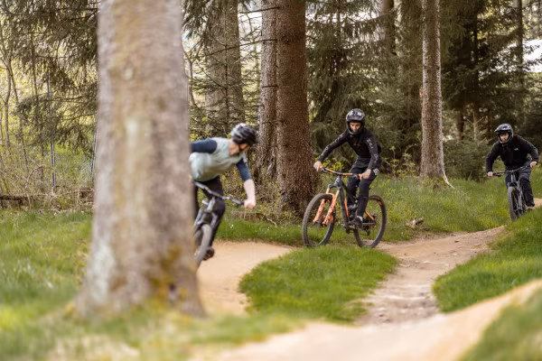 Basic Bikepark Kurs