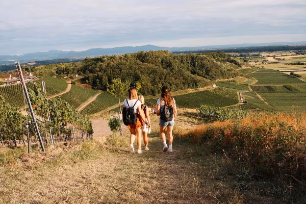 Outdoor-Escape-Abenteuer: In Vino Veritas - Konzer Tälchen
