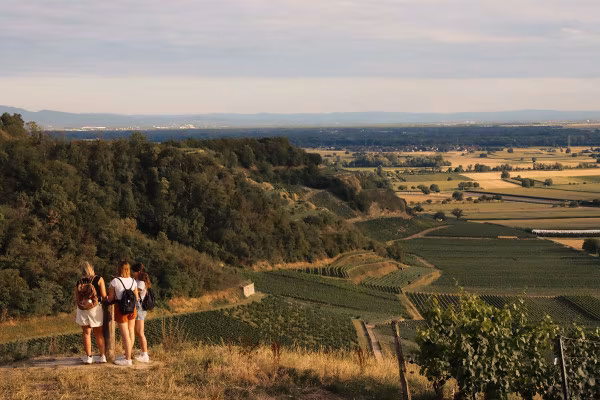 Outdoor-Escape-Abenteuer: In Vino Veritas - Konzer Tälchen