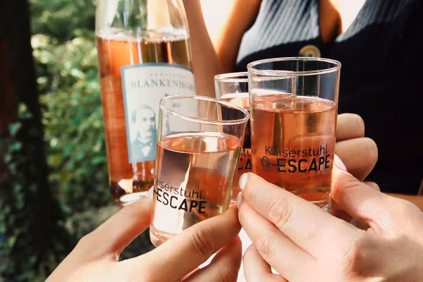 Outdoor-Escape-Abenteuer: In Vino Veritas - Meersburg